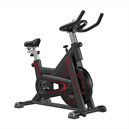 NXYJD Home Spinning Exercise Bikes Spinning Bicycle Machine Mute Sports Training Exercise Bike Weight Loss Gym Fitness Equipment