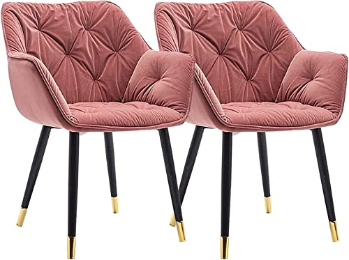 Kitchen Dining Room Furniture Chairs Set Of 2 Velvet Dining Chair Modern Lounge Side Chair Kitchen Living Room Bedroom Armchair (Color : Blue, Si