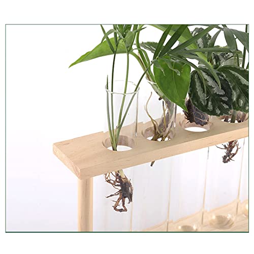 GLOGLOW Plant Propagation Stations, Wooden Stand Plant Terrarium Modern Flower Bud Vase Desktop Plant Holder with 5 Test Tube for Hydroponic Plan