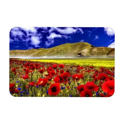 VBFOFBV Door Mat, Outdoor Indoor Doormat, Durable Floor Mat Non Slip Rug, Front Doormat for Entryway, Patio, Corn Poppy Landscape Mountain Sky Fl