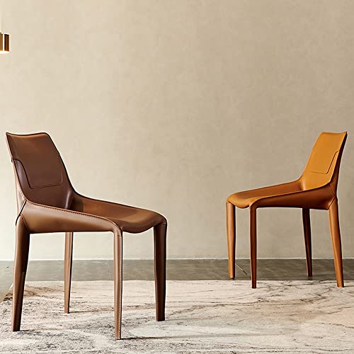 LIUZH Kitchen Scandinavian Lounge Dining Chairs Designer Relax Library Accent Dining Chairs Home Furniture (Color : A, Size : 1code)