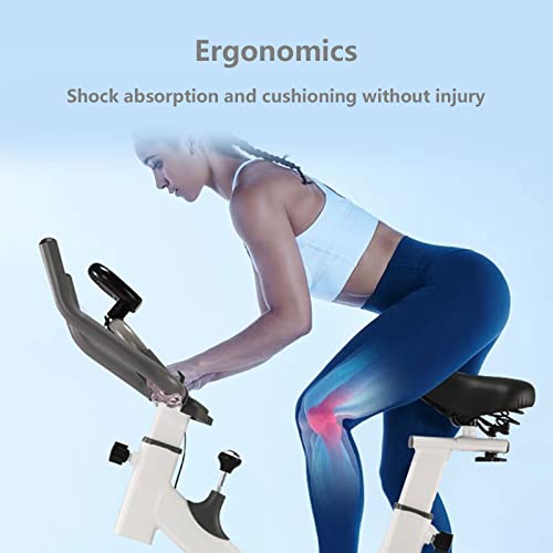 Super Silent Exercise Bike, Bluetooth Home Trainer, Magnetically Controlled Stationary Bike, Professional Weight Loss Pedal Exerciser, Adjustable