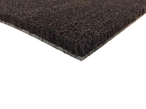 Carpido Non-slip coconut mats, antibacterial door mats, for covered outdoor use, sustainable natural fibres, 100% coconut, 40 x 60 cm, grey