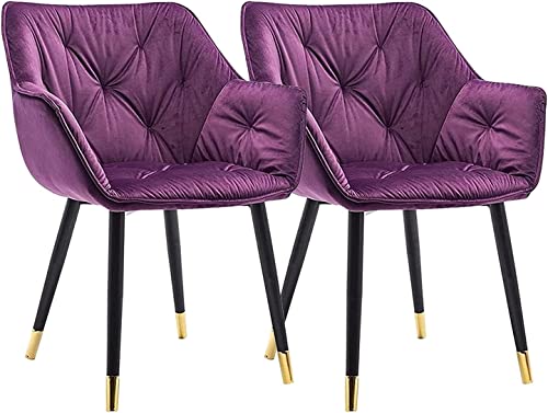 Kitchen Dining Room Furniture Chairs Set Of 2 Velvet Dining Chair Modern Lounge Side Chair Kitchen Living Room Bedroom Armchair (Color : Blue, Si