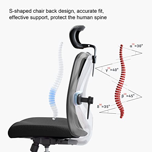SIHOO Office Desk Chair, Ergonomic Computer Office Chair with Adjustable Headrest and Lumbar Support,High Back Executive Swivel Chair (Black)