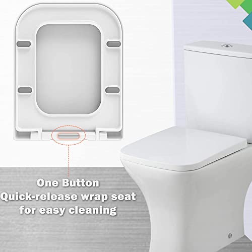Mass Dynamic Square Toilet Seat Soft Close, One Button Quick Release Toilet Seats for Easy Cleaning, Easy Installation with Top Fixing & Adjustab
