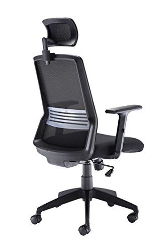 Office Hippo High Back Office Chair with Arms, Mesh Office Chair for Home, Lumbar Support and Adjustable Arms, Swivel, Fabric, Black
