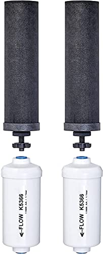 2 Black Berkey Elements Plus 2 Berkey Arsenic and Fluoride Filters, Professionally Pre-Primed with Free Test and Clean Kit Included.