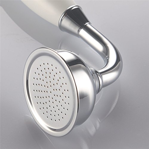Skybath Shower Head Traditional Victorian Style Handheld Shower Sprayer and 59 Inch Hose Chrome