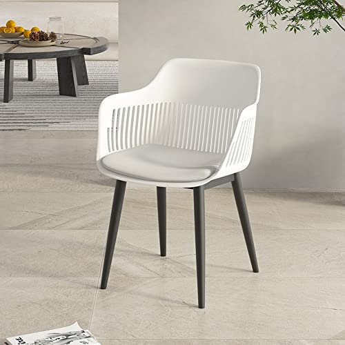 LIUZH Nordic Dining Chairs Designer Design Dining Chairs Plastic Transparent Sillas Computer Chai (Color : Argento, Size : 1code)
