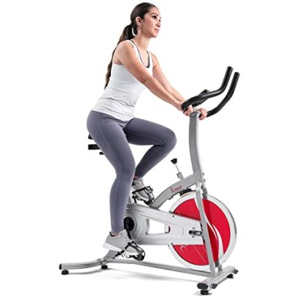 Sunny Health and Fitness Indoor Cycling Bike SF-B1203
