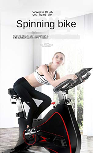 N/A Household Fitness Bike Spinning Fitness Equipment Indoor Bicycle Sports qi Bicycle (Color : Black)
