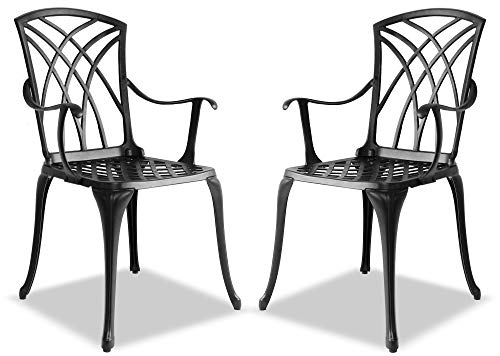 Homeology OSHOWA 2-Large Garden & Patio Chairs with Armrests in Cast Aluminium Black