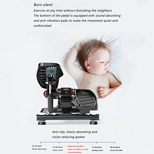 Stepper, Up-down with or Without Training Bands, Holistic Training