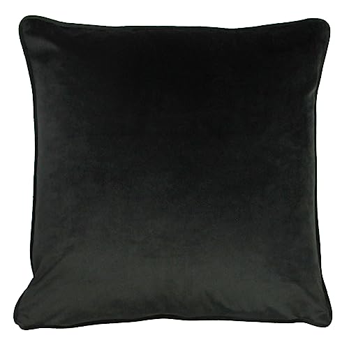 Wylder Nature Midnight Garden Birds Outdoor Cushions Twin Pack,Aqua,43 x 43cm