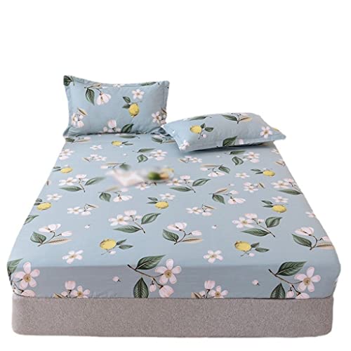 LIUZH Cotton Bed Hat Single Piece Cotton Thickened Bed Cover Mattress Protection Cover Full Sheet Bed Hat Three-piece Set (Color : D, Size : 180