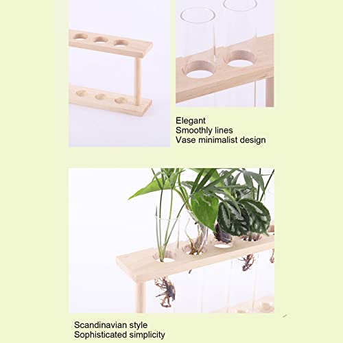 GLOGLOW Plant Propagation Stations, Wooden Stand Plant Terrarium Modern Flower Bud Vase Desktop Plant Holder with 5 Test Tube for Hydroponic Plan