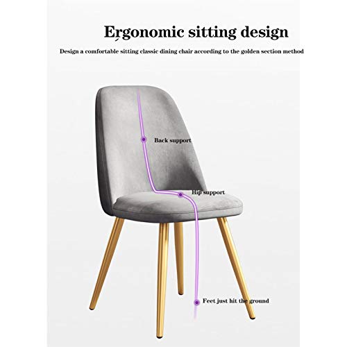 Modern Kitchen Dining Room Chairs Velvet Reception Dining Chair Soft Cushion Seat And Back Non-slip Metal Legs For Living Room Patio Office Kitch