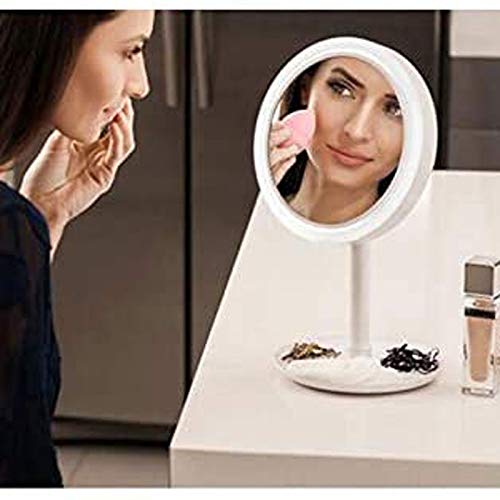LIUZH 7.9 Inch Makeup with LED Lights and Fan Head Adjustable Cosmetic Vanity 5X Magnifying