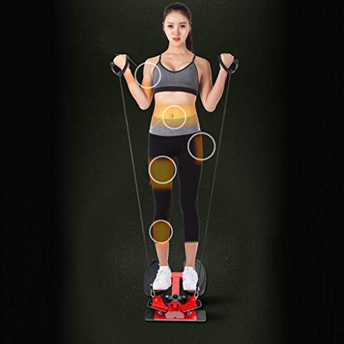 TWDYC Adjustable Mini Stair Stepper Exercise Equipment Step Machine with Twisting Action