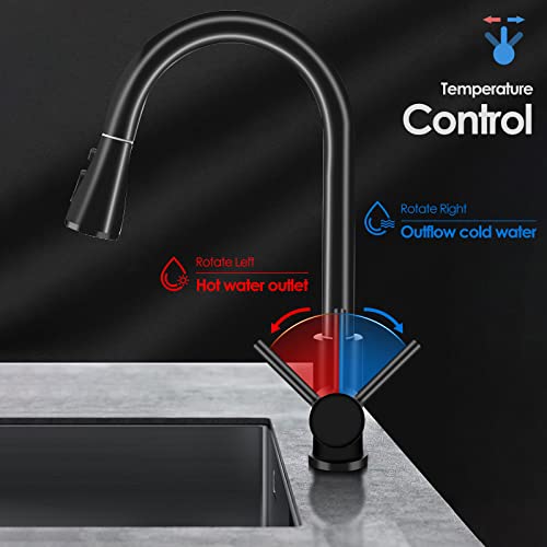 Pakuyi Kitchen Sink Taps 360° Swivel Kitchen Faucet Single Handle Single Lever High Arc Kitchen Mixer Tap with Pull Out Sprayer with 2 Modes Spra