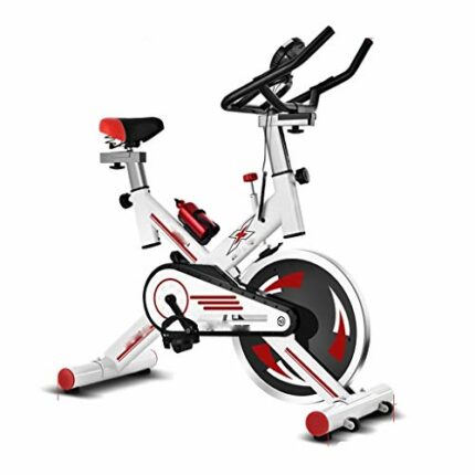 N/A Professional Indoor Cycling Spinning Bike Adjustable Home Fitness Equipment Mute Vertical Exercise Bike Speed Distance Training (Color : Whit