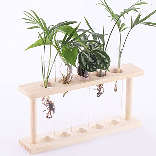 GLOGLOW Plant Propagation Stations, Wooden Stand Plant Terrarium Modern Flower Bud Vase Desktop Plant Holder with 5 Test Tube for Hydroponic Plan