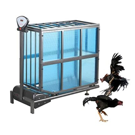 PUFYA Pet Running Machine for Indoor Exercise, Chick Treadmill, Chicks Treadmill Run Walk for Indoor Training, Increase Happiness, Promote Health