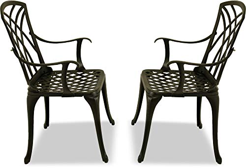 Homeology OSHOWA 2-Large Garden & Patio Chairs with Armrests in Cast Aluminium Black