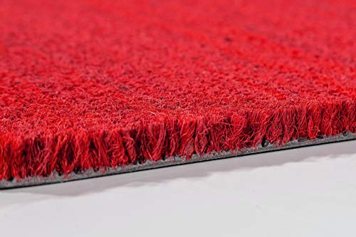 Carpido Non-slip coconut mats, antibacterial dirt trap, for covered outdoor use, sustainable natural fibres, 100% coconut, 40 x 60 cm, red