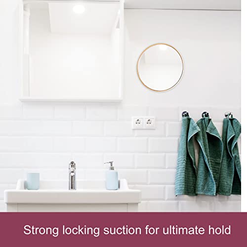 SOLUSTRE Wall-mounted Mirrors Home Mirror 20X Magnifying Makeup Mirror Bathroom Shower Mirror Suction Cup Lighted Makeup Mirror for Detail Makeup