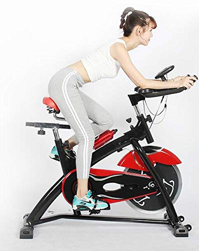 NXYJD Indoor Cycling Bikes 250kg Load Exercise Bicycle Stationary Bicycle Home Fitness Bike Weight Loss Spinning Bike