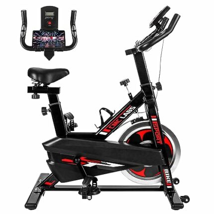Spin Bike, Brake Pad Stationary Bike for Home, Indoor Cycling Bike with Heavy Flywheel, Comfortable Seat Cushion,Exercise Bike