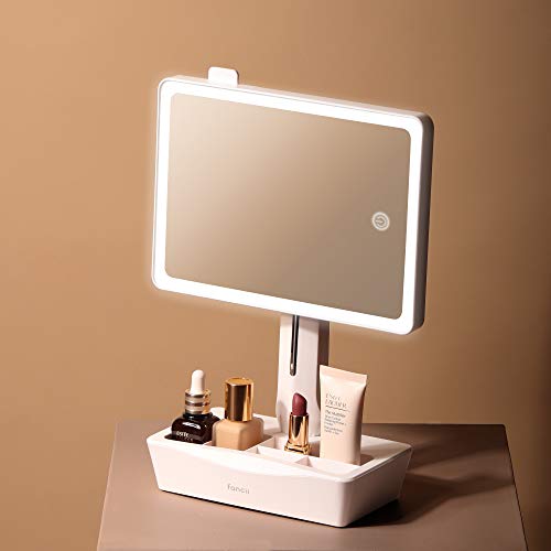 Fancii LED Lighted XL Large Vanity Makeup Mirror with 10X Magnifying Mirror - Dimmable Natural Light, Touch Screen, Dual Power, Adjustable Stand