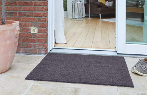 Carpido Non-slip coconut mats, antibacterial door mats, for covered outdoor use, sustainable natural fibres, 100% coconut, 40 x 60 cm, grey