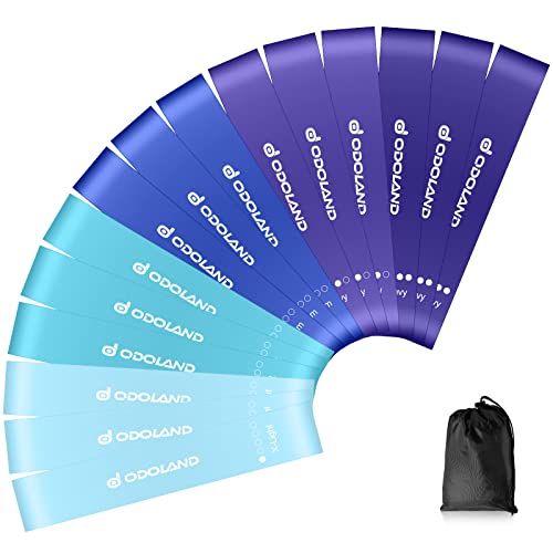 Odoland Resistance Bands Set of 15 for Men and Women, 3 Set Exercise Pilates Loop Rump Bands with 5 Different Resistance Levels for Fitness, Work