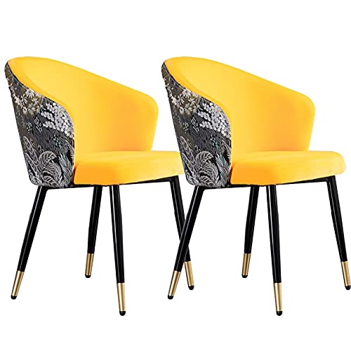 Kitchen Dining Room Furniture Chairs Velvet Dining Chair Set Of 2 Retro Kitchen Dining Room Chairs with Metal Legs Velvet Seat and Embroidery Bac