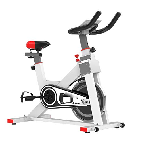 N/A Indoor Cycling Bike Home Fitness Bike LED Display Self Generation Sport Exercise Bicycle Spinning Aerobic Fitness Equipment (Color : White)