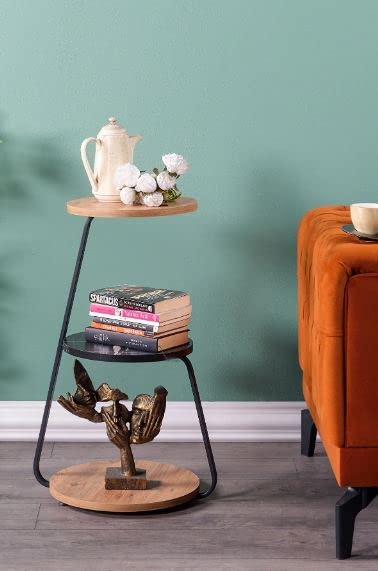 ALP Modern Living Room End Table, Stylish Metal Side 3 Floors End Table, Table for Flowers and Vase, 3- Tier Round Table with Shelves, Lamb and H