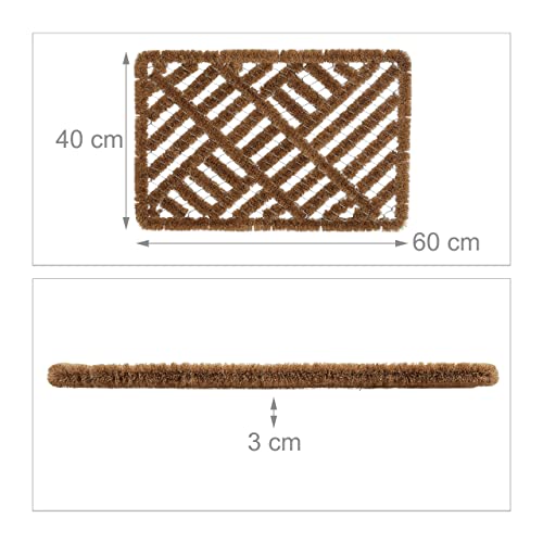 Relaxdays Wire Mesh Mat, 40 x 60 cm, Coconut & Metal, Indoor & Outdoor, Weatherproof Doormat Natural, 80% coconut 20% steel