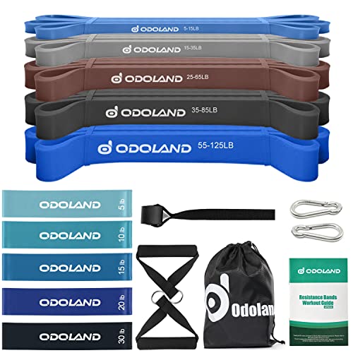 Odoland Resistance Pull Up Bands and Loop Band Set Exercise Loop Band for Men Women, Pack of 5 Different Resistance Levels Elastic Band with Door