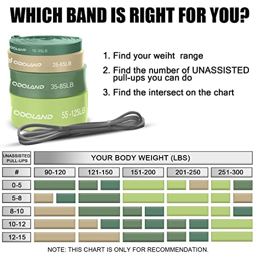 Odoland Resistance Pull Up Bands and Loop Band Set Exercise Loop Band for Men Women, Pack of 5 Different Resistance Levels Elastic Band with Door
