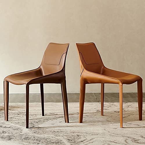 LIUZH Kitchen Scandinavian Lounge Dining Chairs Designer Relax Library Accent Dining Chairs Home Furniture (Color : A, Size : 1code)