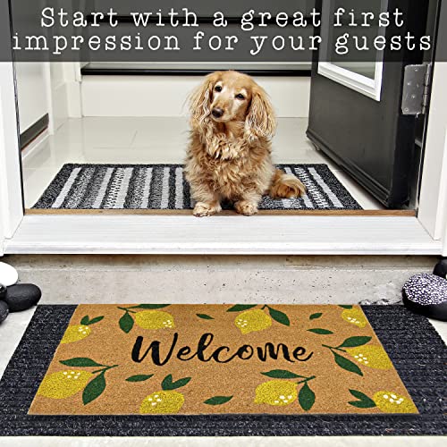 Lemon Welcome Mat 30x17 Inch, Lemon Door Mat, Lemon Doormat, Hello Spring Door Mat, Outdoor Rug Yellow Door Mats, Coir Doormat, Spring Welcome Ma