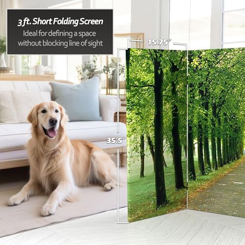 Red Lantern Double Sided Path of Life Canvas Folding Screen, 3 Foot - 4 Panel
