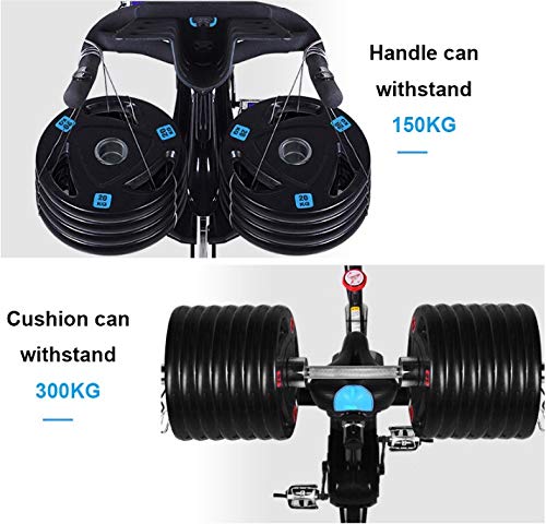 N/A Indoor Cycling Bike Trainer Belt Drive and Study Spinning Bike Fast Weight Loss Quiet Pedal Exercise Bicycle