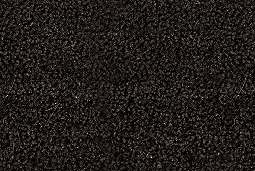 Carpido Non-Slip Coconut Mats - Antibacterial Door Mat - for Covered Outdoor Use - Sustainable Natural Fibre - 100% Coconut - 50 x 80 cm - Black