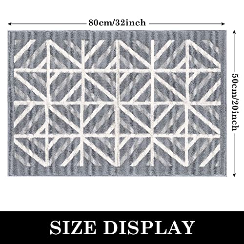 comfoyar Dirt Trapper Door Mats Indoor, Non Slip Machine Washable Entrance Rug, Super Absorbent Low Profile Floor mat for Dog Muddy Paws, Front D