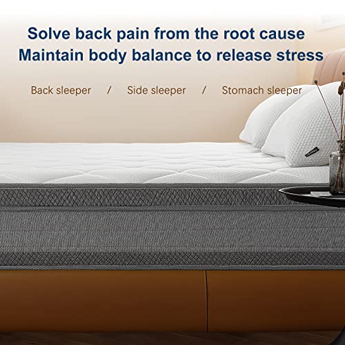 Molblly Double Mattress, 8.7 Inch Memory Foam Innerspring Hybrid Mattress Bed in a Box for Pressure Relieving Comfort Foam Sprung Hybrid Double S