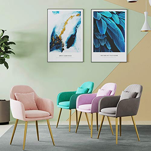 Modern Kitchen Dining Room Chairs Velvet Dining Chair Metal Legs Living Room Chairs With Armrests Backrest Kitchen Dining Chairs (Color : White,